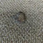 Business 2 image CBD CARPET REPAIR Repair Services in Melbourne VIC