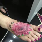 Business 3 image CELEBRITY INK™ TATTOO STUDIO SOUTHPORT Tattooist & Tattoo Shop in Southport QLD