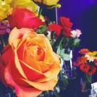 Business 1 image CENTENNIAL FLORIST & GIFT BASKETS ADELAIDE Wedding Flowers in Adelaide SA