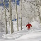 Business 3 image CHALETS USA LLC Travel Company in Sydney NSW