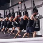 Business 1 image CHAMPIONS GYM Health & Fitness - Centres & Services in Myaree WA