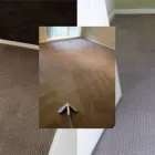 Business 3 image CHEAP CARPET CLEANING MELBOURNE Carpet Cleaning & Protection in Melbourne VIC