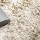Business 7 image CHEAP CARPET CLEANING MELBOURNE Carpet Cleaning & Protection in Melbourne VIC