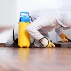 Business 1 image CHEAP PEST CONTROL GEELONG Pest Control in Geelong VIC