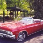 Business 1 image CHEVY CONVERTIBLES / TOP DOWN TOURS Winery in Melbourne VIC