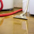 Business 1 image CHOICE FLOOD DAMAGE RESTORATION SYDNEY Water Damage Restoration in Sydney NSW