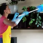 Business 3 image CITRUS CLEAN STEAM PEST Private House Cleaning Buderim in Buderim QLD