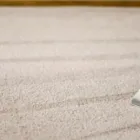 Business 1 image CITY CARPET CLEANING ELLENBROOK Same Day Carpet Cleaning in Perth WA