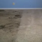 Business 3 image CITY CARPET CLEANING MELBOURNE Same Day Carpet Cleaning in Melbourne VIC
