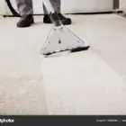Business 1 image CITY CARPET CLEANING PERTH Home Improvements in Perth WA