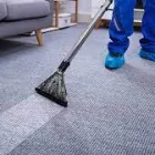 Business 3 image CITY CARPET CLEANING PERTH Home Improvements in Perth WA