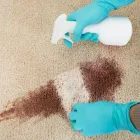 Business 9 image CITY CARPET CLEANING WESTERN SYDNEY Carpet Furniture & Upholstery Cleaning in Sydney NSW