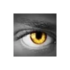 Business 4 image CITYWIDE INVESTIGATIONS Undercover Investigations in Melbourne VIC