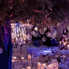 Business 3 image CLARENCE HOUSE Wedding Venues in Belmore NSW