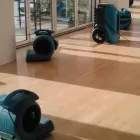 Business 4 image CLEAN MASTER FLOOD DAMAGE RESTORATION PERTH Carpet Cleaning & Protection in Perth WA