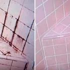 Business 4 image CLEAN THAT CARPET Home Cleaning in Adelaide SA