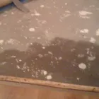 Business 5 image CLEAN THAT CARPET Home Cleaning in Adelaide SA