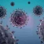 Business 1 image CLINIPATH PATHOLOGY WEST LEEDERVILLE Speech Pathologists in West Leederville WA