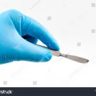 Business 1 image CLIPPING WORLD Photographers in Campsie NSW