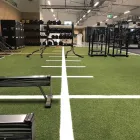 Business 5 image CLUB LIME AQUATICS CISAC Ladies Only in Bruce SA