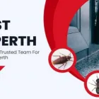 Business 4 image COCKROACH EXTERMINATION PERTH Pest Control in Perth WA