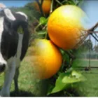 Business 4 image COLLIE WATER Water Treatment & Equipment in East Perth WA