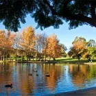 Business 5 image CONNEKT URBAN PROJECTS Real Estate Agency in Adelaide SA