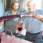 Business 1 image CONTE ESTATE WINES Winery in McLaren Vale SA