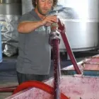 Business 8 image CONTE ESTATE WINES Winery in McLaren Vale SA