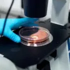 Business 1 image COSMETIC STABILITY TESTING AUSTRALIA Cosmetics-Retail in Perth WA