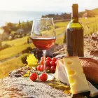 Business 2 image COUNTRY TRAILS PRIVATE TOURS Tours in Sydney NSW