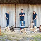 Business 3 image CRAIG A MURRAY DOG TRAINING Sniffer Dogs in Berrinba QLD