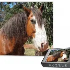 Business 2 image D'MEMORIES4U JIGSAW PUZZLES Wedding Gifts in Melbourne VIC