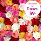 Business 1 image DAILY FLOWER DEALS Wholesale Flowers Melbourne in Melbourne VIC