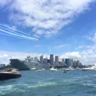 Business 8 image DEEP BLUE CHARTERS Fishing Tackle in Sydney NSW