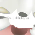 Business 2 image DENTIST MELBOURNE - PRAHRAN FAMILY DENTAL Dentist in Melbourne VIC