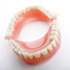 Business 2 image DENTURES PLUS Same-Day Denture Repairs in Leeming WA