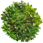 Business 6 image DESIGNER PLANTS® Artificial Plants in Moorabbin VIC