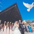 Business 2 image DIAMOND FILMS Wedding Videography in Fairfield NSW