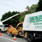 Business 1 image DICKIES TREE SERVICE Tree & Stump Removal Services in Malaga WA