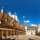 Business 5 image DIRECT FLIGHTS Airlines & Travel Agents in Surry Hills NSW