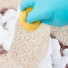 Business 2 image DIRT ALERT CARPET AND TILES GROUT CLEANING Home Cleaning in Melbourne VIC