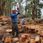 Business 6 image DISASTER RELIEF AUSTRALIA Disaster in Sydney NSW