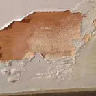 Business 2 image DOCTOR DAMP VENTILATION Home Cleaning in Dural NSW