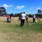 Business 1 image DOG TRAINING ADELAIDE Worldwide in Ingle Farm SA