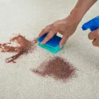Business 2 image DRYMASTER CARPET CLEANING CANBERRA Stain Removal in Belconnen ACT