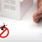 Business 2 image DUDES COCKROACH CONTROL MELBOURNE Pest Control in Melbourne VIC