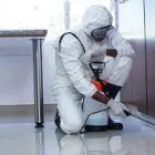 Business 3 image DUDES COCKROACH CONTROL MELBOURNE Pest Control in Melbourne VIC