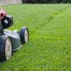 Business 2 image DYLAN'S MOWING Garden Nurseries in Pelican Waters QLD
