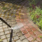 Business 5 image DYLAN'S MOWING Garden Nurseries in Pelican Waters QLD